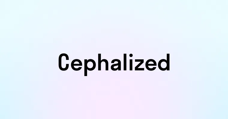 Cephalized