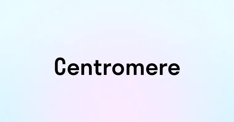 Centromere