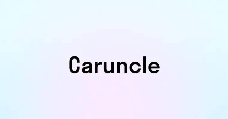 Caruncle