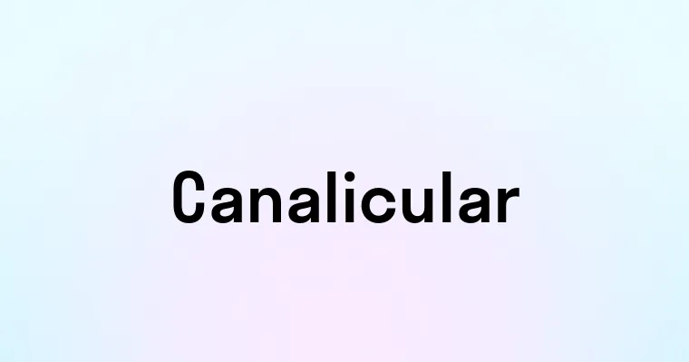 Canalicular