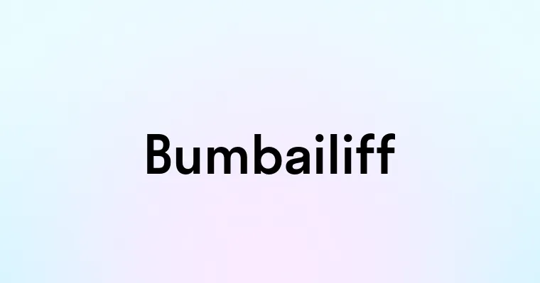 Bumbailiff