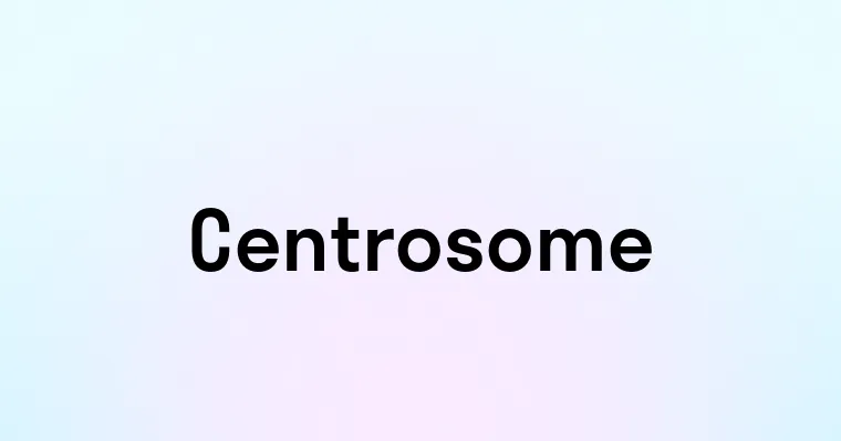 Centrosome