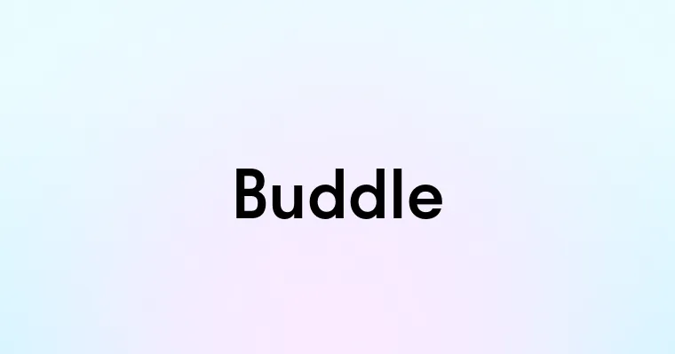 Buddle