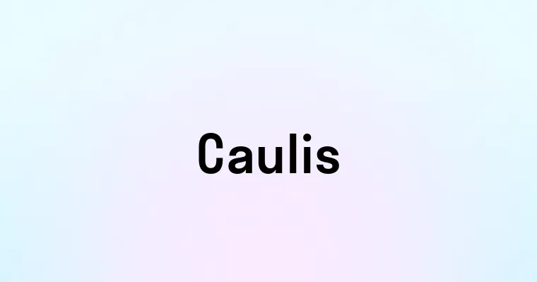 Caulis