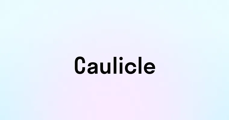 Caulicle