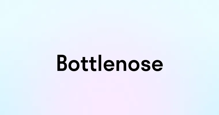 Bottlenose