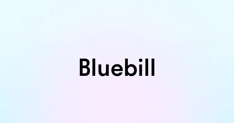 Bluebill