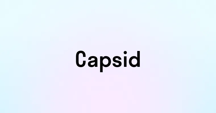 Capsid