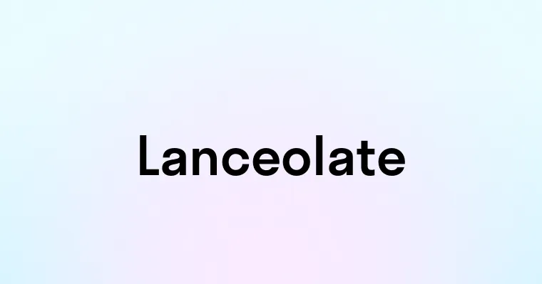 Lanceolate