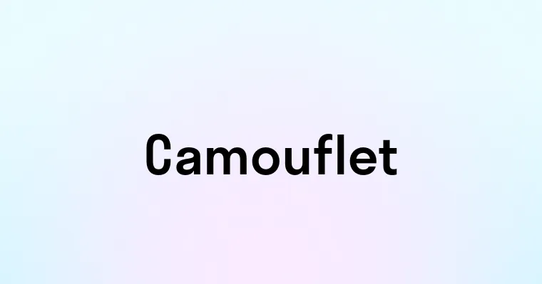 Camouflet