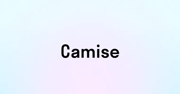 Camise