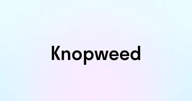 Knopweed