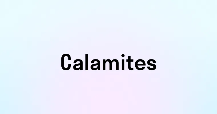 Calamites