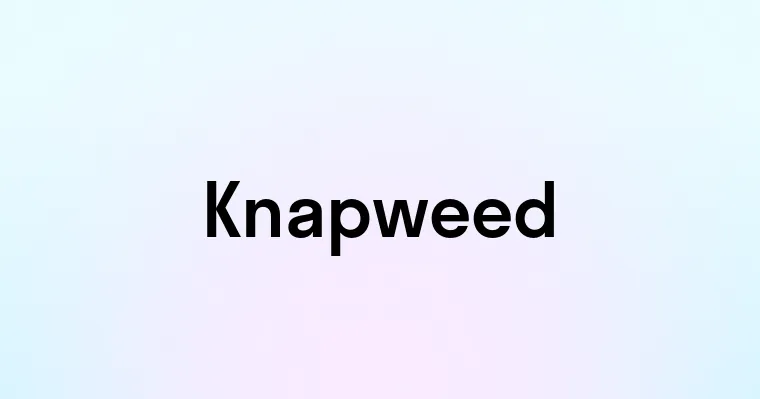 Knapweed