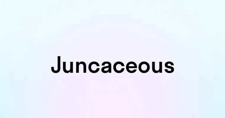 Juncaceous