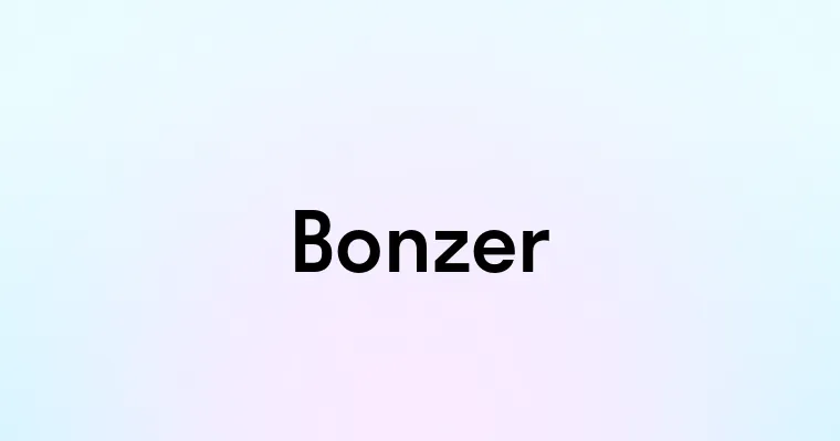 Bonzer