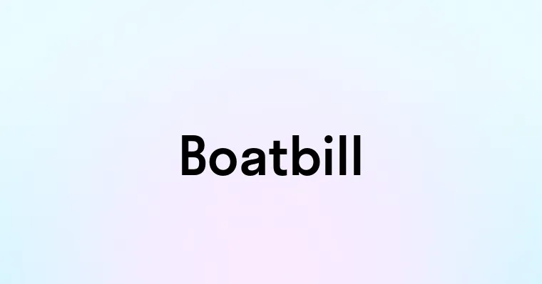 Boatbill