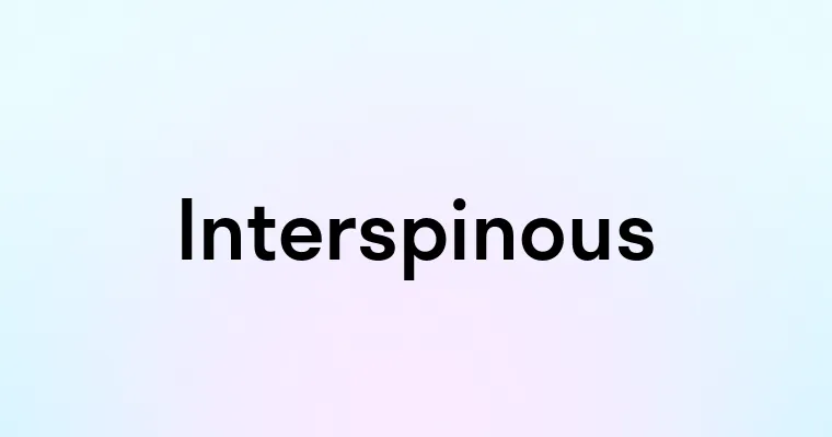 Interspinous