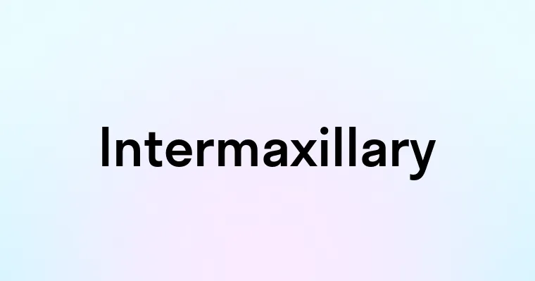 Intermaxillary