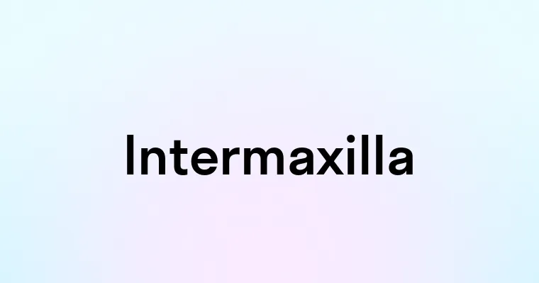 Intermaxilla