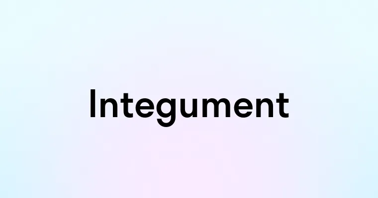 Integument