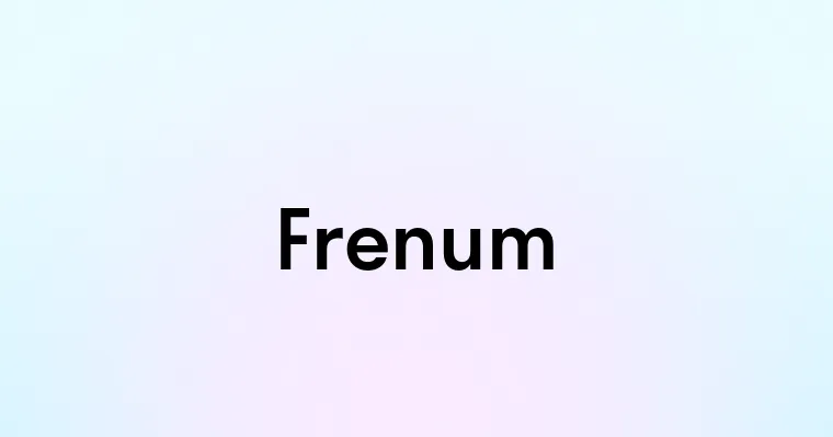 Frenum