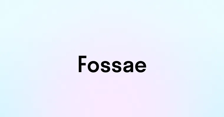 Fossae