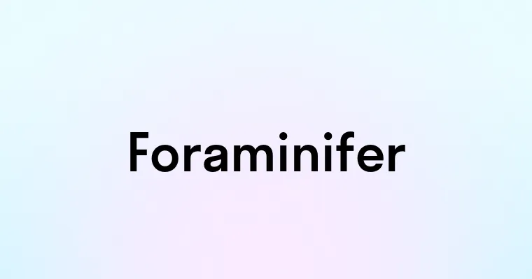 Foraminifer