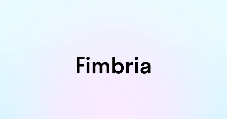 Fimbria