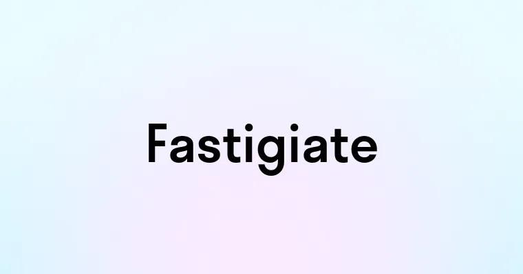Fastigiate Definition Fastigiate — перевод, транскрипция, произношение и примеры