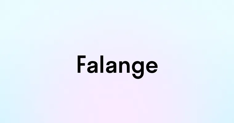 Falange