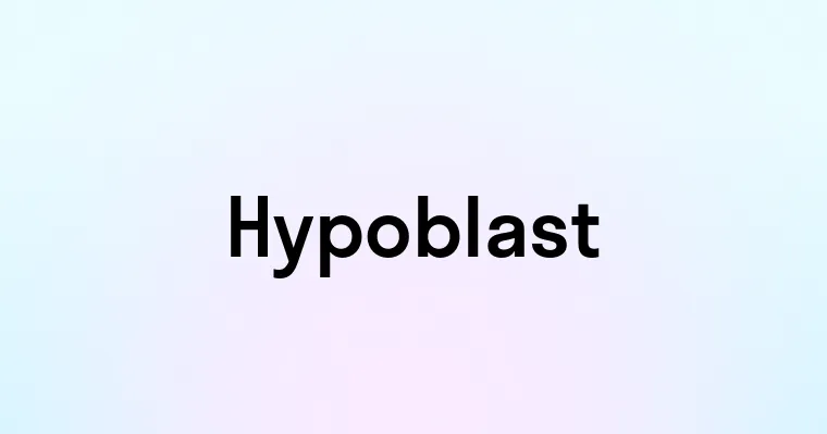 Hypoblast