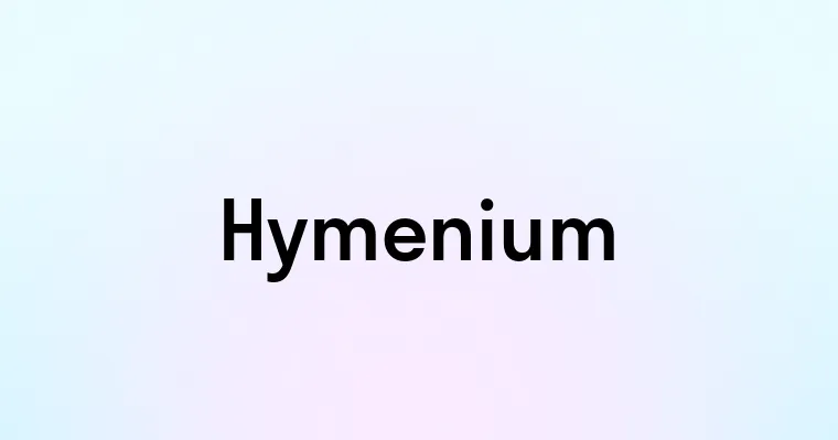 Hymenium