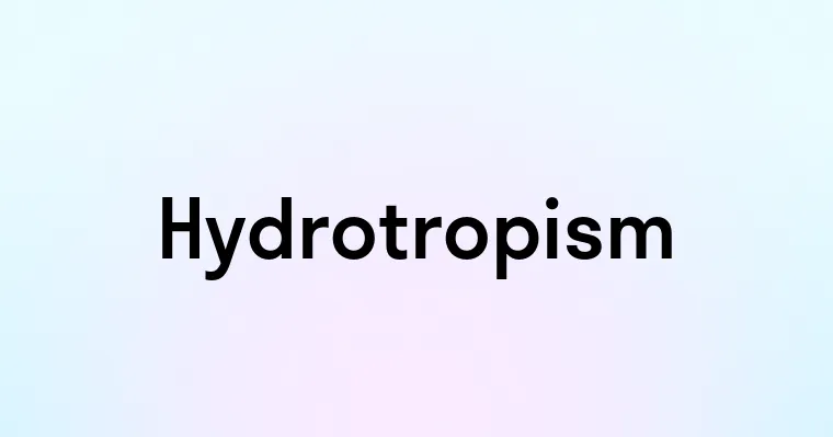 Hydrotropism