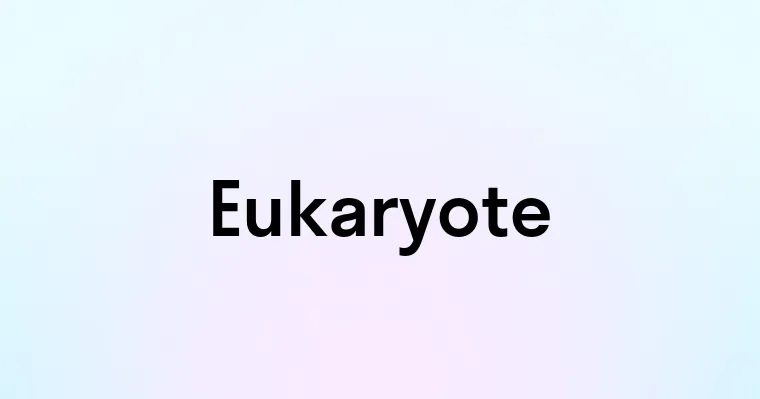 Eukaryote