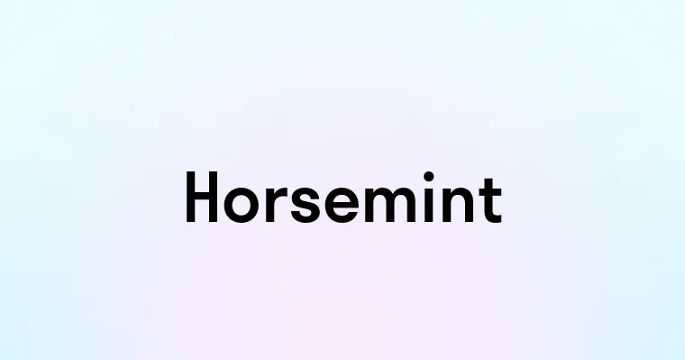 Horsemint