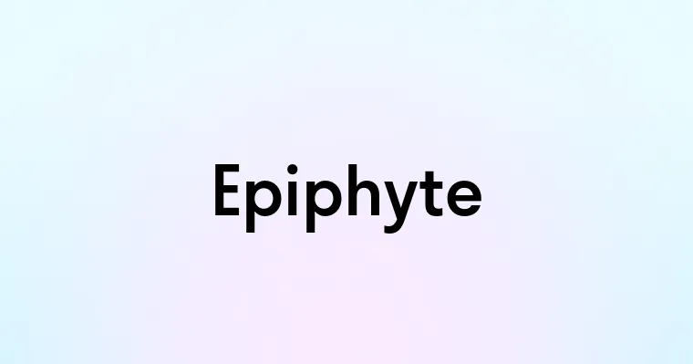 Epiphyte