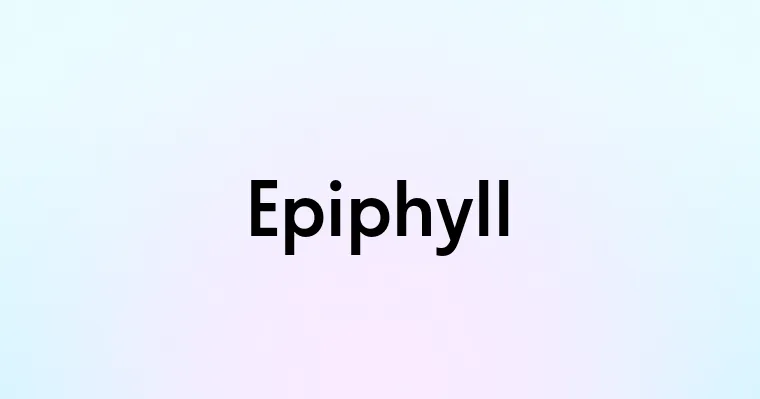 Epiphyll