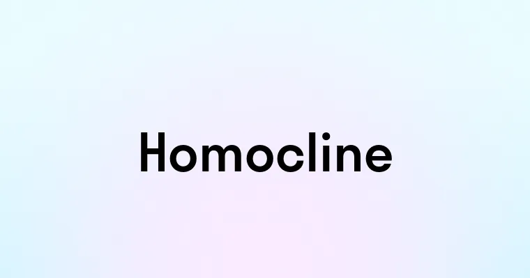 Homocline