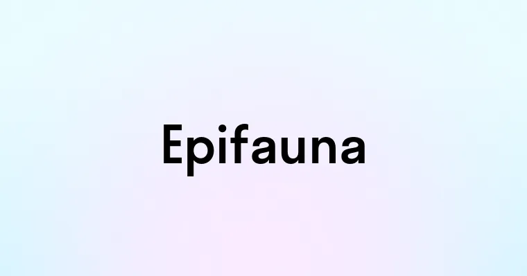 Epifauna