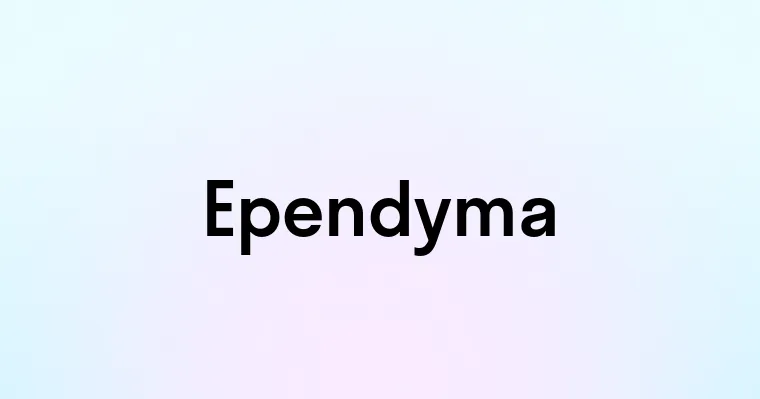 Ependyma