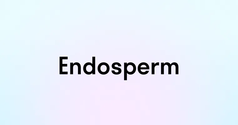 Endosperm