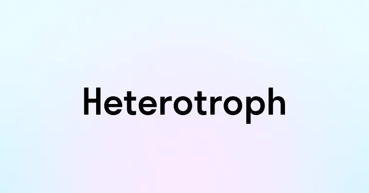 Heterotroph