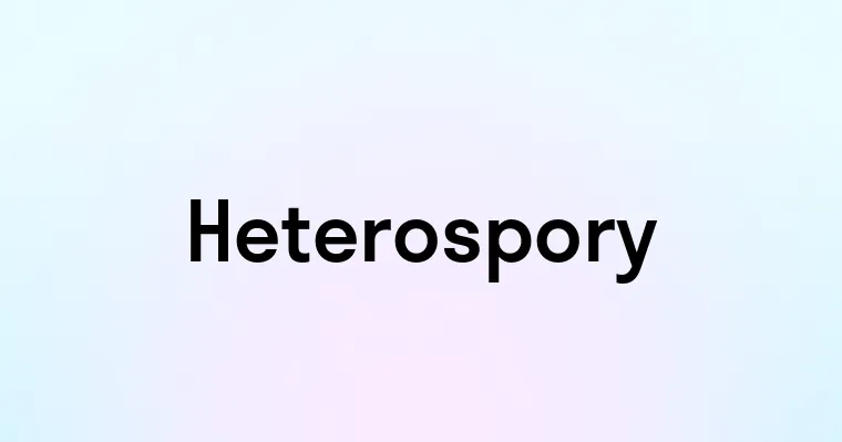 Heterospory