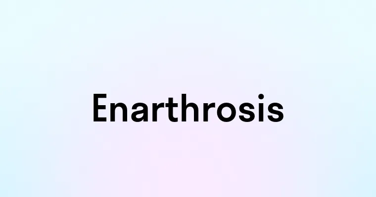 Enarthrosis