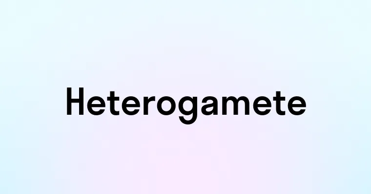 Heterogamete