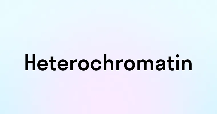 Heterochromatin