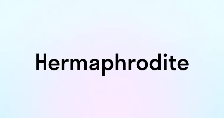 Hermaphrodite