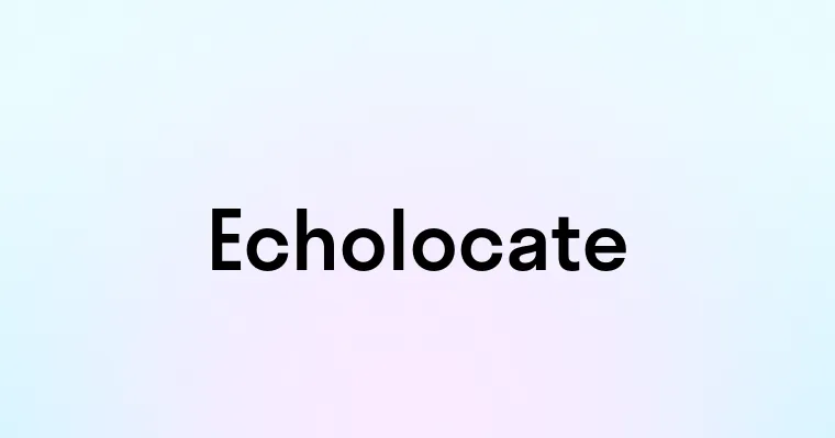 Echolocate