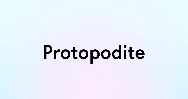 Protopodite